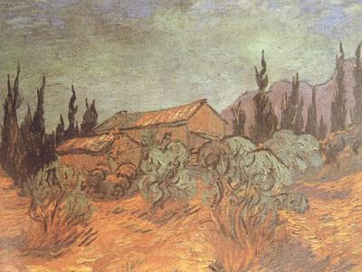 Vincent Van Gogh Wooden Sheds (nn04) France oil painting art